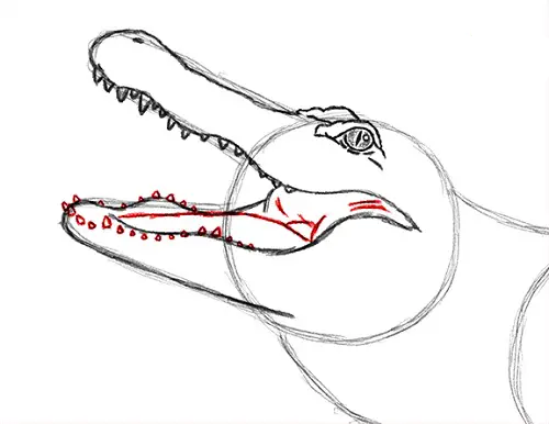 draw-alligator-3