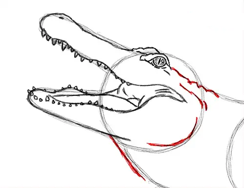 draw-alligator-3