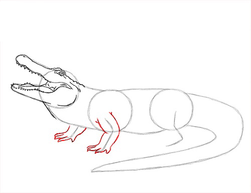 draw-alligator-3