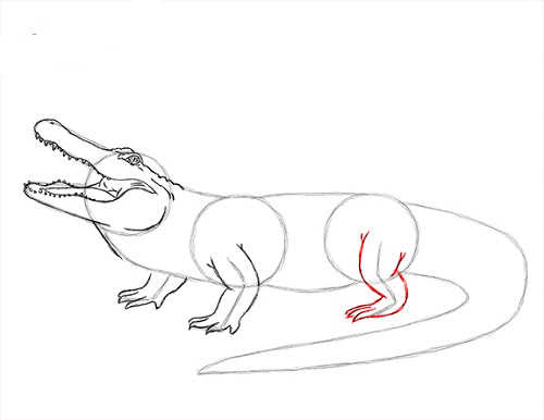 draw-alligator-3