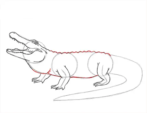 draw-alligator-3