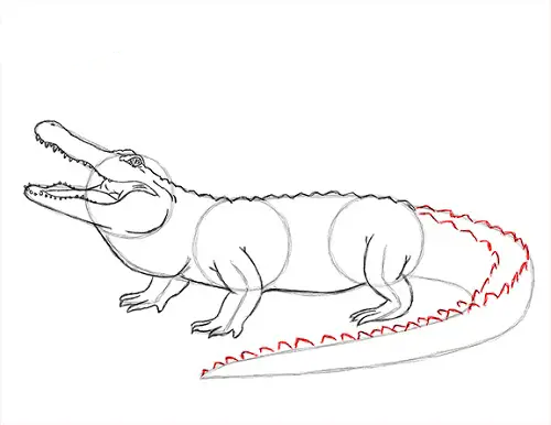 draw-alligator-3