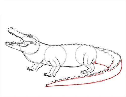 draw-alligator-3