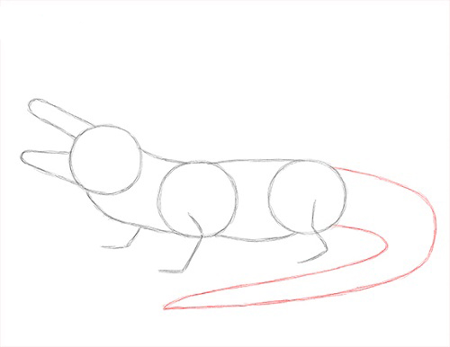draw-alligator-3