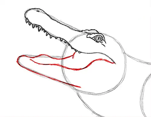 draw-alligator-3